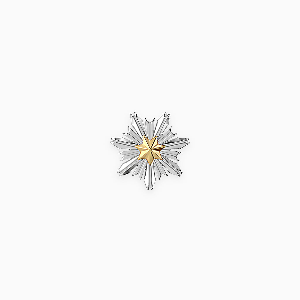GENESIS STELLAR EARRINGS